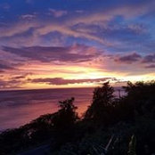 Cindy Gamarra's photo