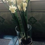 Julie Allen's photo