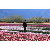 Lei Liu's photo