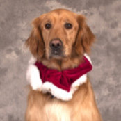 Ryan Masteller's photo