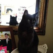 Zelda Osborn's photo