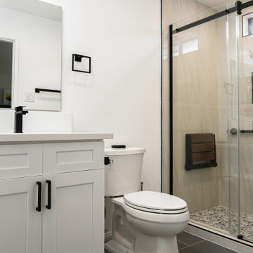 Chula Vista - guest bathroom remodel
