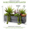 Mixed Succulents In Rectangular Planter,  12"