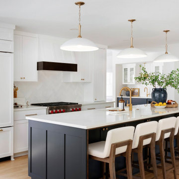 Edina Court - Whole Home Remodel