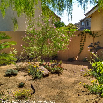 Side Yard Serenity
