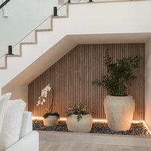 Indoor Plants