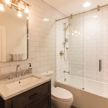 Lincoln Park Three-Story De-conversion & Renovation