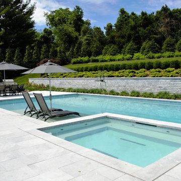 Modern & Bright Swimming Pool + Spa NY Design