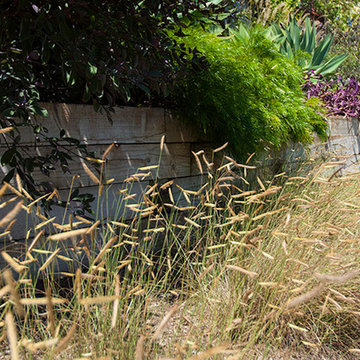 Mesa Garden