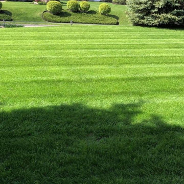 Lawn Care
