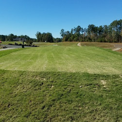 L1F Zoysia at Red Bridge Golf & Country Club in Locust, NC - Products