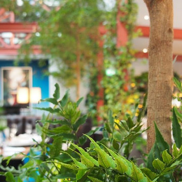 Blue Bird Restaurant, Chelsea