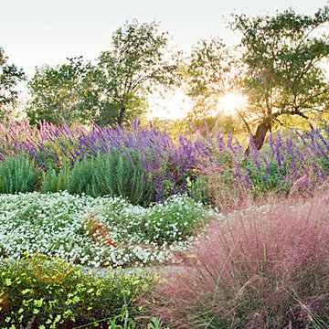 Lakeside Garden - Custom Landscaping - Highland Village, TX