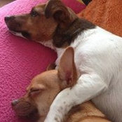 Foto de Soo Roberts
