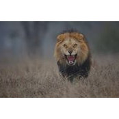 Patrick Petty's photo