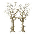 Pursley Dixon Architecture's profile photo