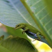 Terry Ehrle's photo