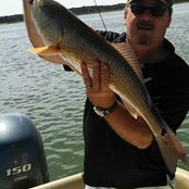 Mark Flugel's photo