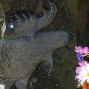 Kathryn Drapak's photo