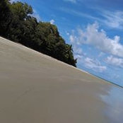Wendy King's photo