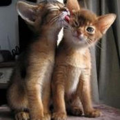 Bridgeen Kayner's photo