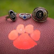 Anna Fulmer's photo