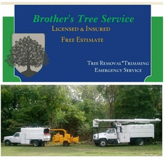 Brother's Tree Service
