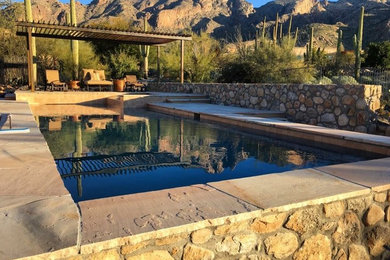 Photo of a transitional pool in Phoenix.