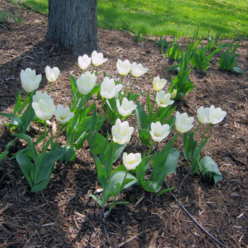 Earthscape Projects