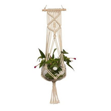 Plants and plant holders