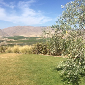 Desert views