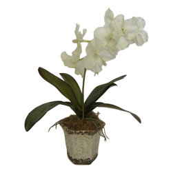 Traditional Decor - Products