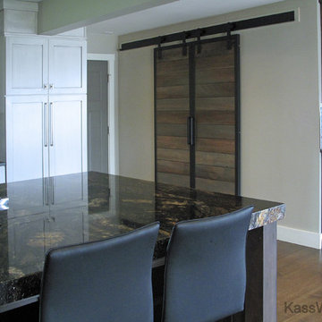Contemporary Barn Doors