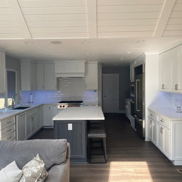 Alamo Home Remodel