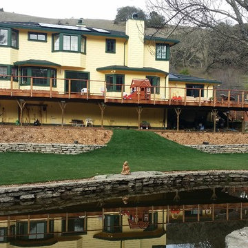 Landscape Design & Installation