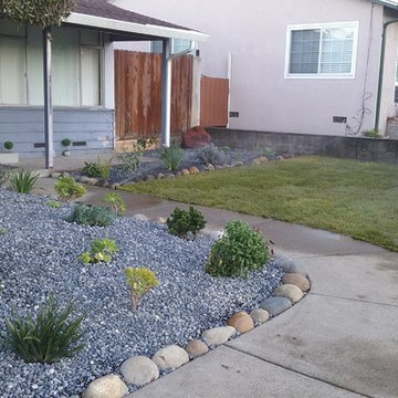 New Front Yard. Grass, Planting and Pebbles in San Pablo CA