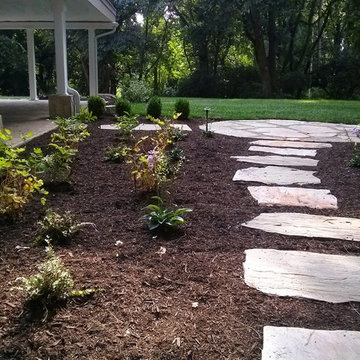 Back Yard Renovation
