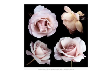 Chanel Rose Family - Printed on Hahnemuehle Fine Art Paper.