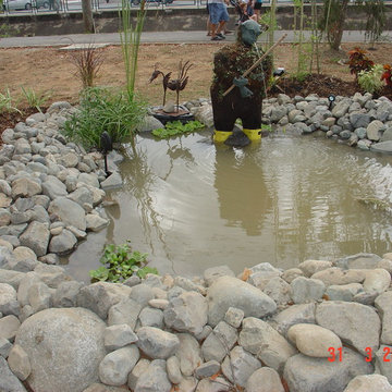 Biological Koi Ponds