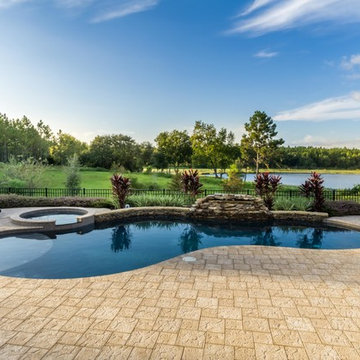 Backyard Oasis