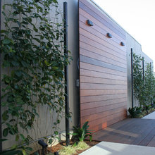 Backyard Hill