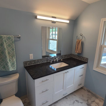Omaha Traditional Bathroom