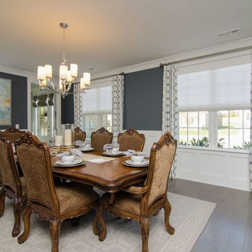Burris Window Treatments