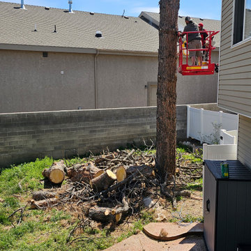 Backyard Transformation