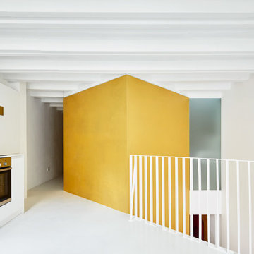 Duplex Tibbaut