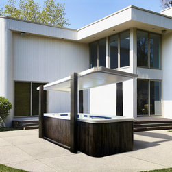 Hot Tubs and Swim Spas - Hot Tub And Pool Accessories