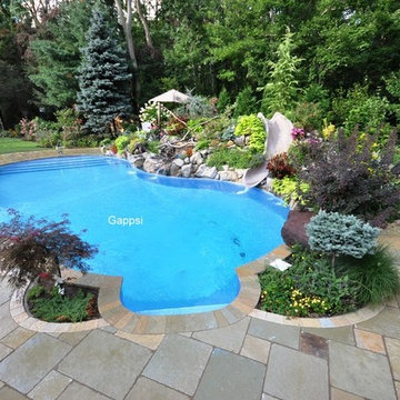 Limestone Pool Patio Pavers and Coping Designer, Supplier, and Installer