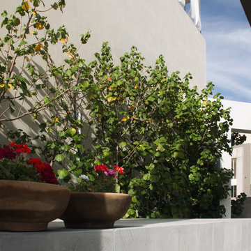 TOWNHOME en Lomas del Valle