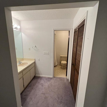House remodeling - Temple Terrace