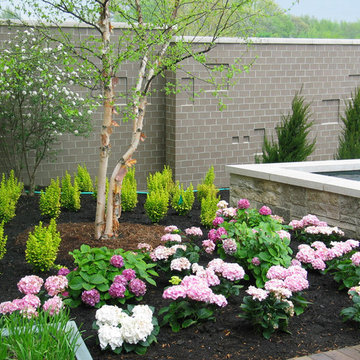 Sunjoy® Gold Pillar Baryberry